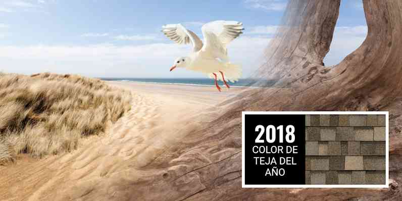Una composición que muestra una gaviota blanca volando sobre la rama de un árbol, con una playa de arena blanca y aguas azules cristalinas de fondo. Junto a la imagen se presenta una muestra de las tejas «Pacific Wave» —el color de teja del año 2018—, que combina tonos beige crema, madera flotante, pizarra y carbón con un toque de azul celeste claro.