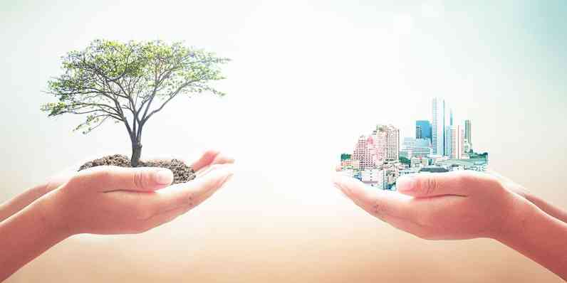 graphic of two sets of hands, one holding a tree and the other a city