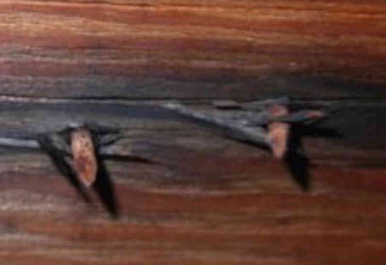 Wet wood damage in attic from trapped heat and moisture 