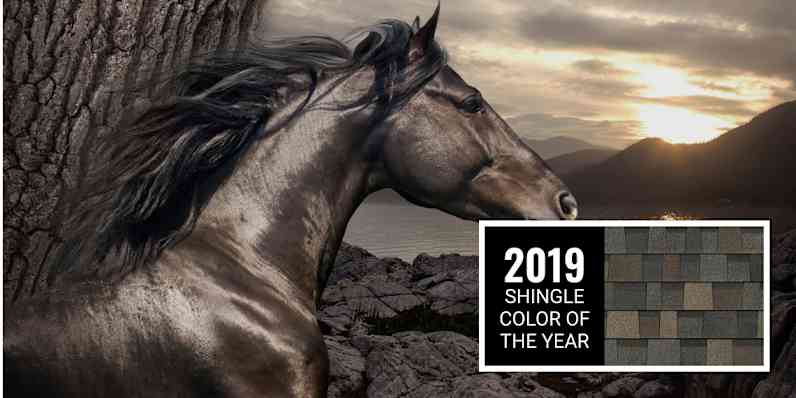 A montage of a horse set against a calm scene of a rocky cliff next to a body of water with mountains in the background. Featured next to the scene is a swatch of Black Sable shingles, the 2019 Shingle Color of the Year, which feature classic black with gray, umber brown and a hint of sable.