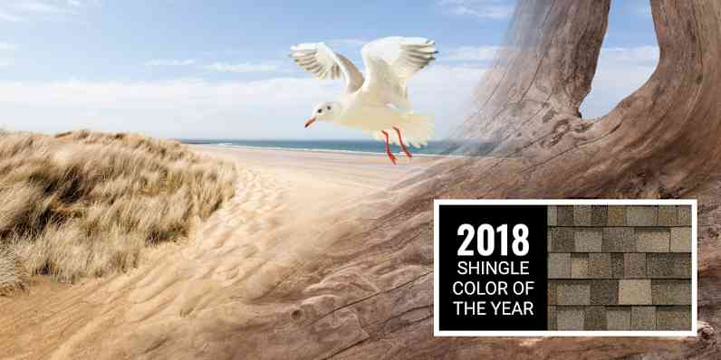 A montage of a white seagull flying over a tree branch, set against a white sandy beach along clear blue water. Featured next to the scene is a swatch of Pacific Wave shingles, the 2018 Shingle Color of the Year, which combines elements of bisque beige, driftwood, shale and charcoal with a touch of light sky blue.