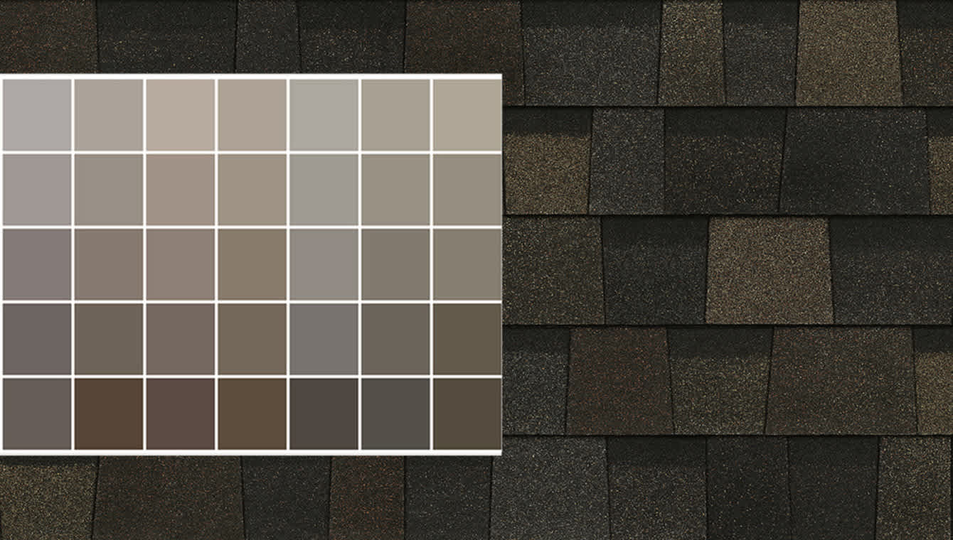 Taupe paint swatch layered over top of a Black Sable swatch to show that it pairs well with a variety of colors