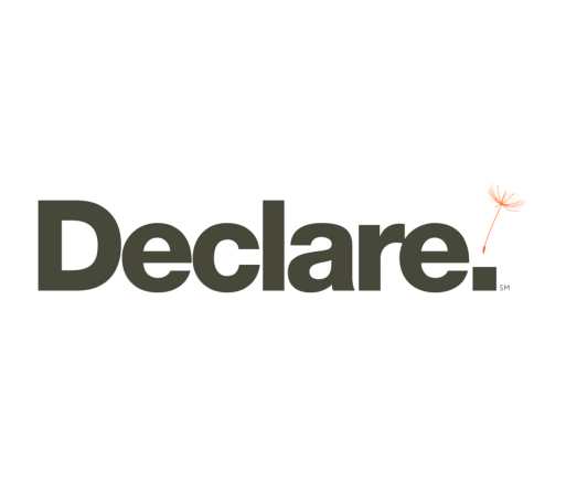 Declare logo