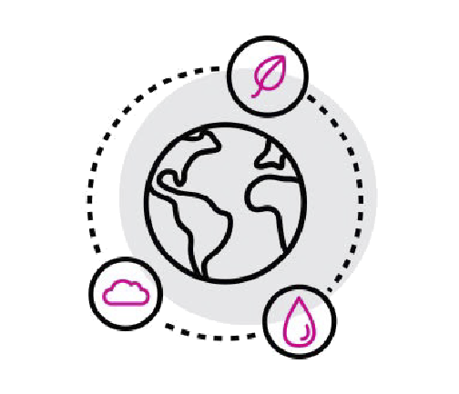 Product Transparency Summaries icon