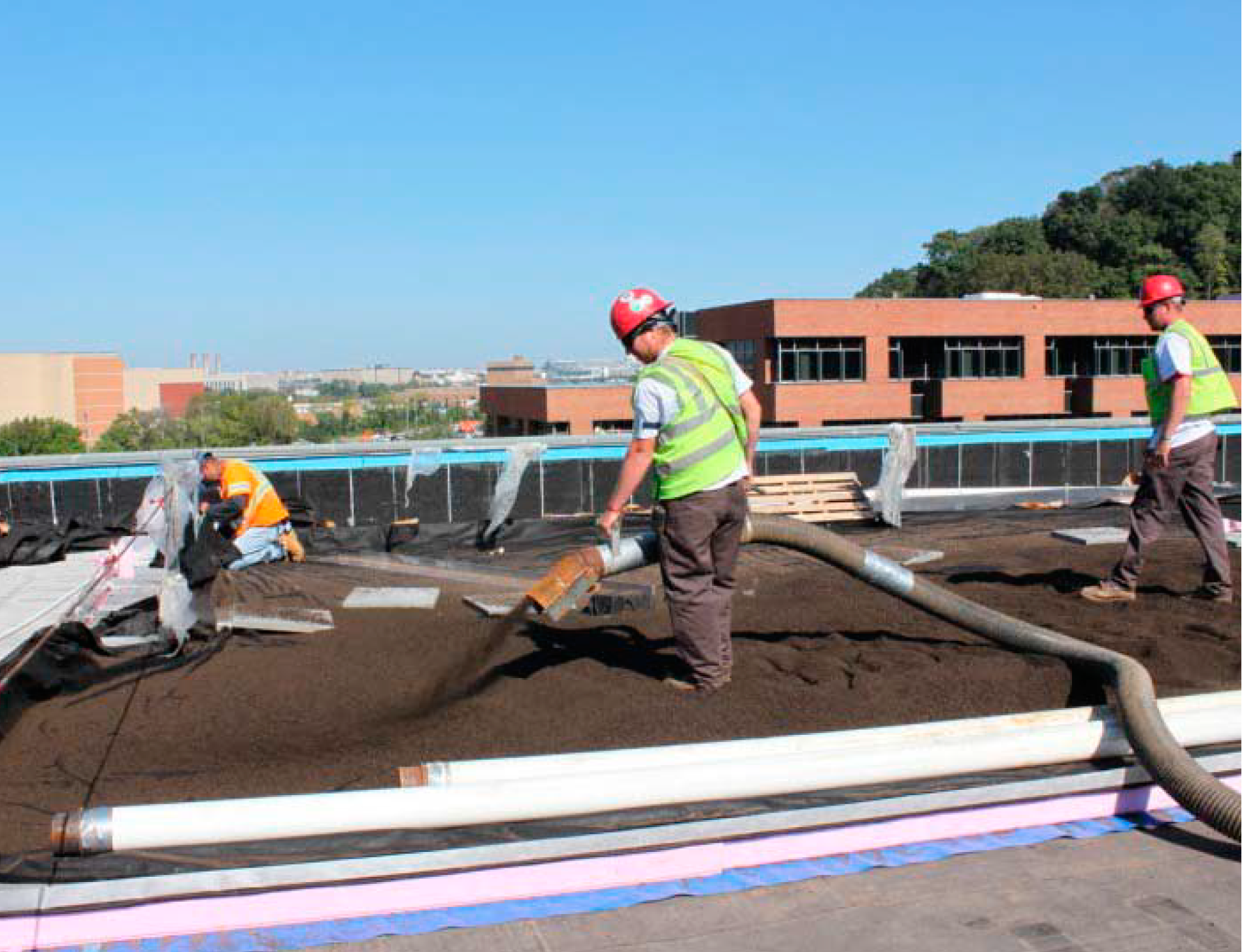 Media was pneumatically conveyed and blown on the roof in the 1st phase