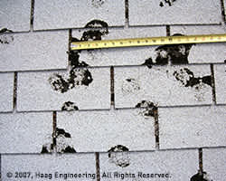 Severe hail damage to roofing shingles