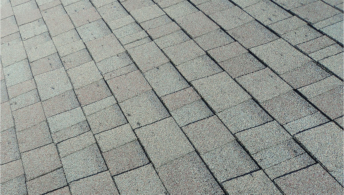 Grey shingles with missing granules (bald spots)