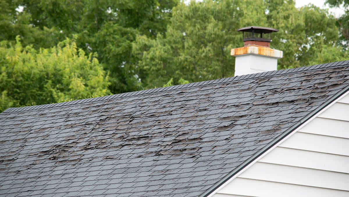 Old roof with curled shingles
