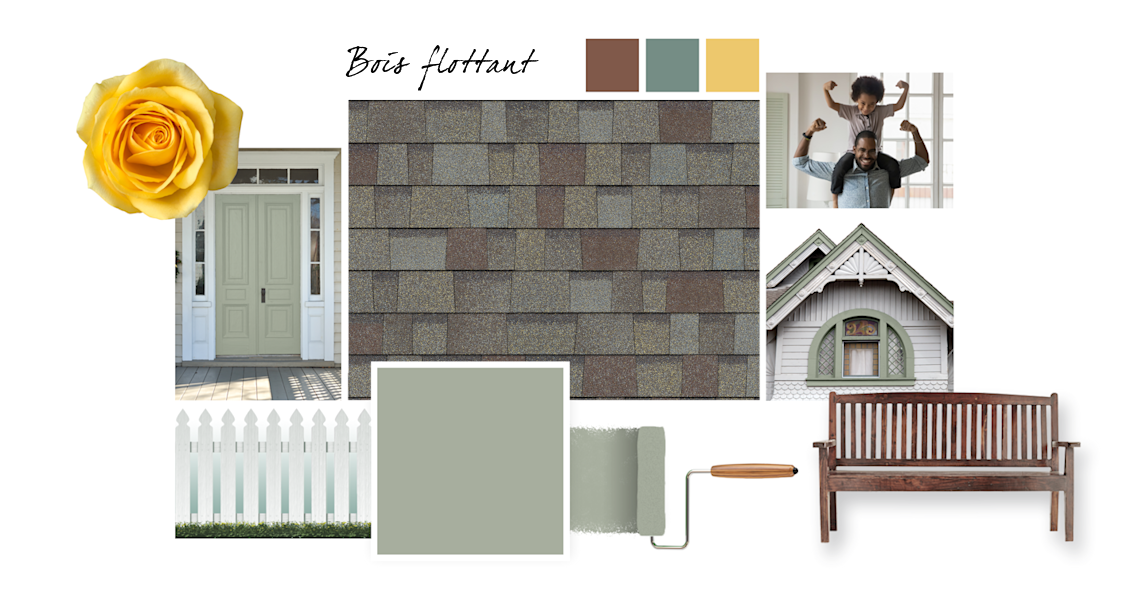 Saule pleureur & Bois flottant