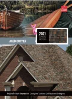 Hoja de datos del Color de teja del año de 2021