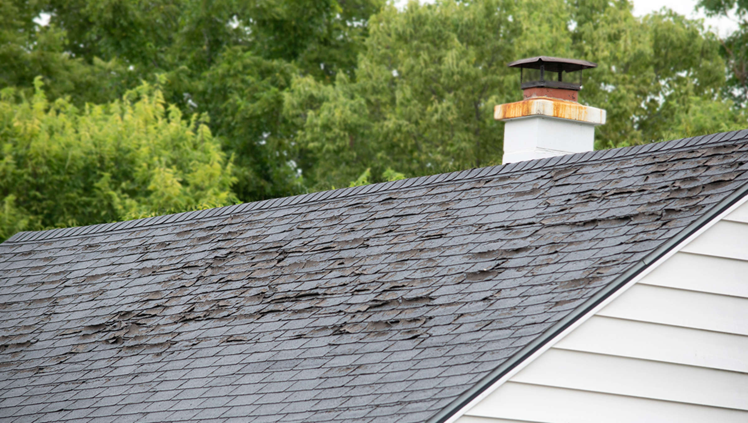 Old roof with curled shingles
