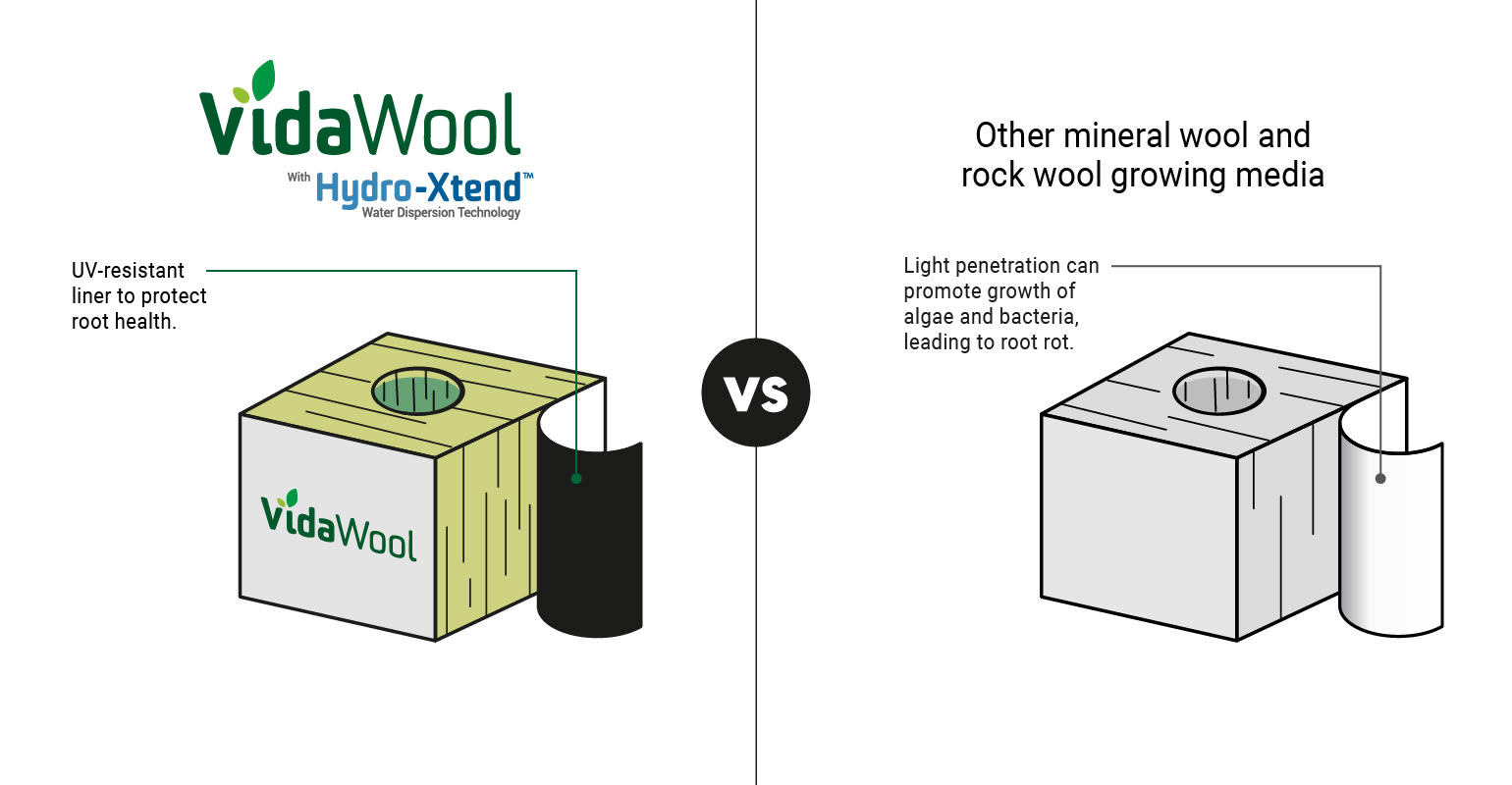 Comparison of VidaWool™ UV-protection liner versus other rock wool growing media.