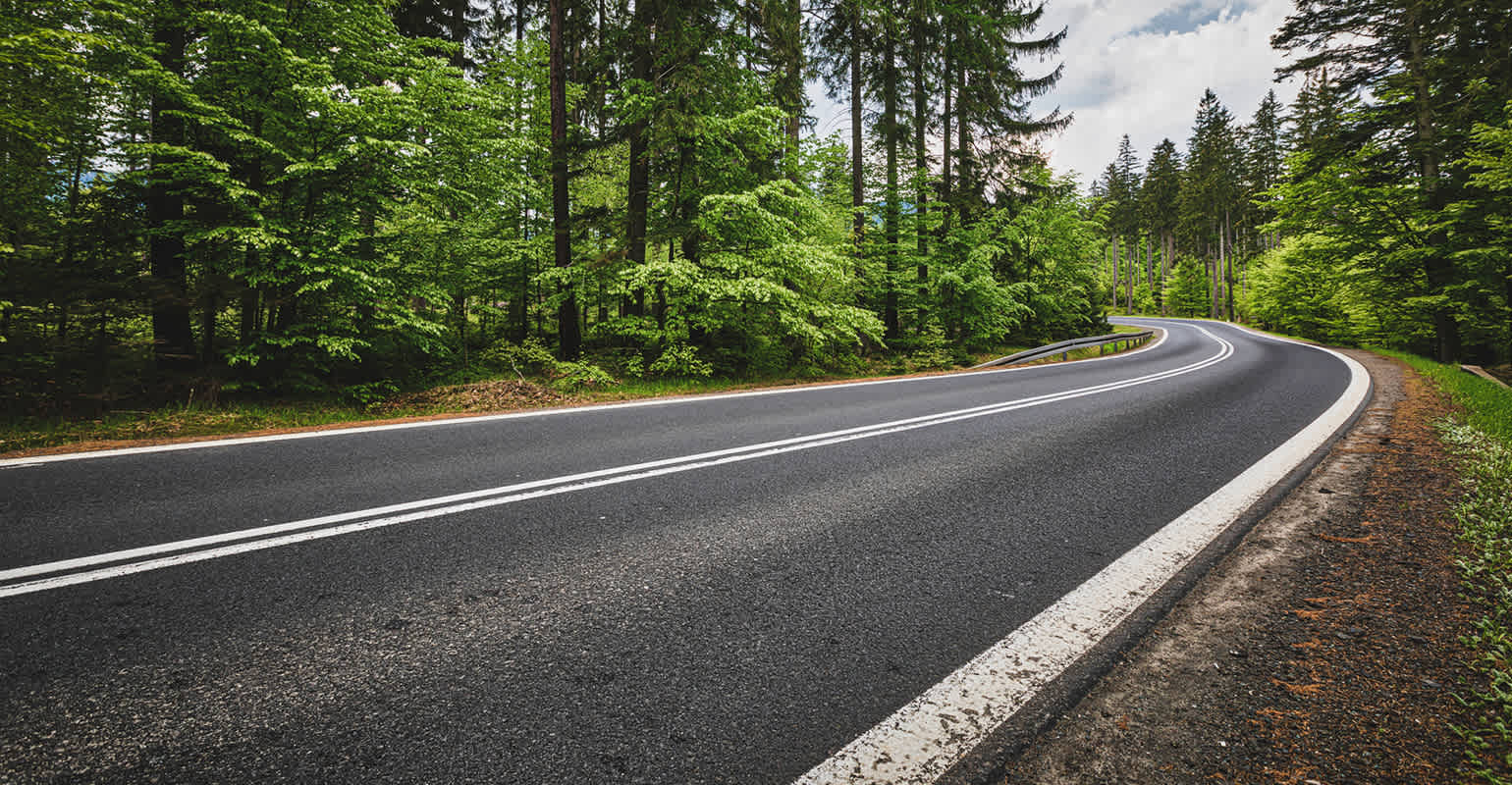 Scenic mountain road surrounded by a forest of green trees