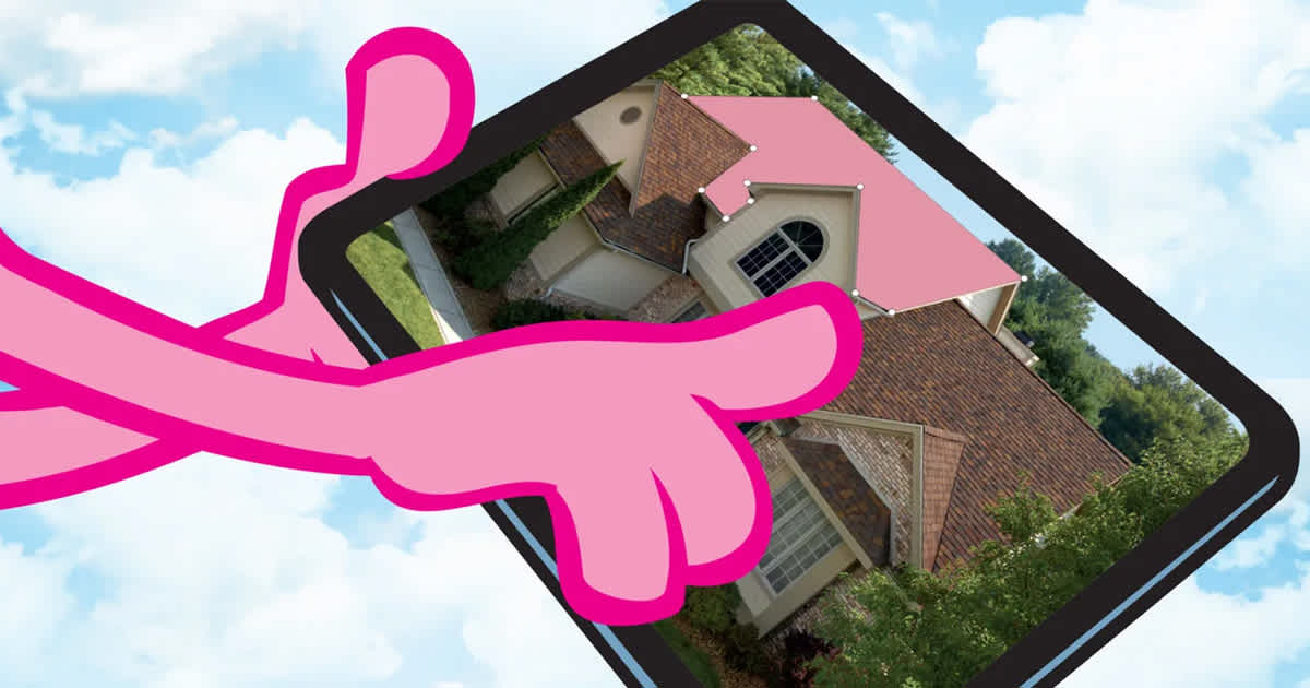 Pink panther using an iPad with roof design software