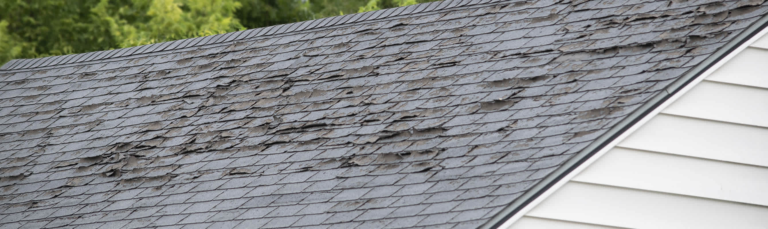 White house with old, grey shingle roof with curing and visible damage