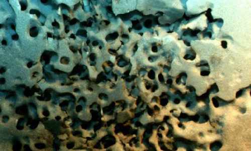 Damaged foam insulation