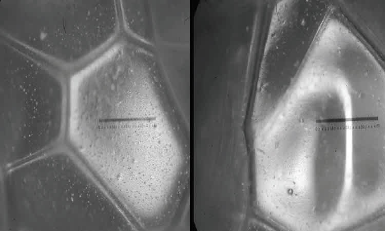 Morphology of cell size in rigid polyurethane foam due to aging process.