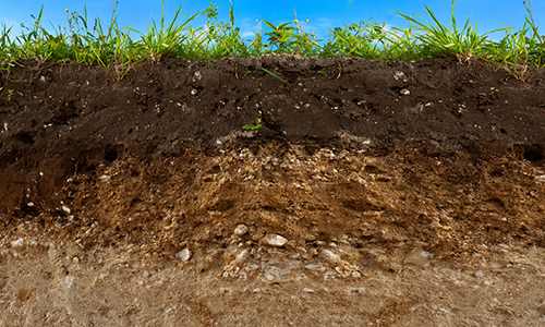 Soil underground view