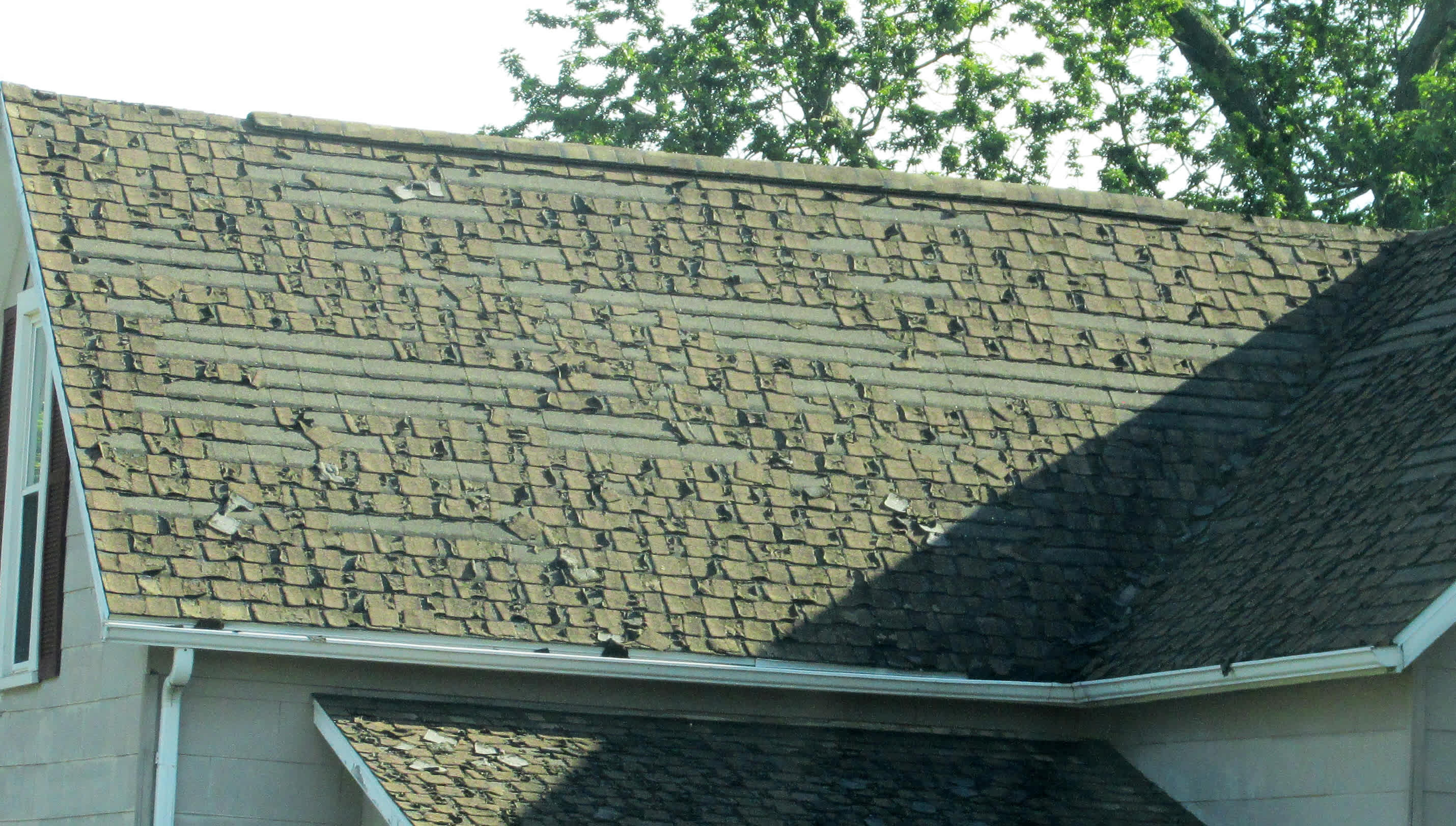 Roof with curled shingles