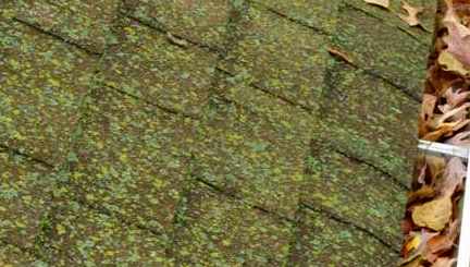 Roofing shingles covered in green moss