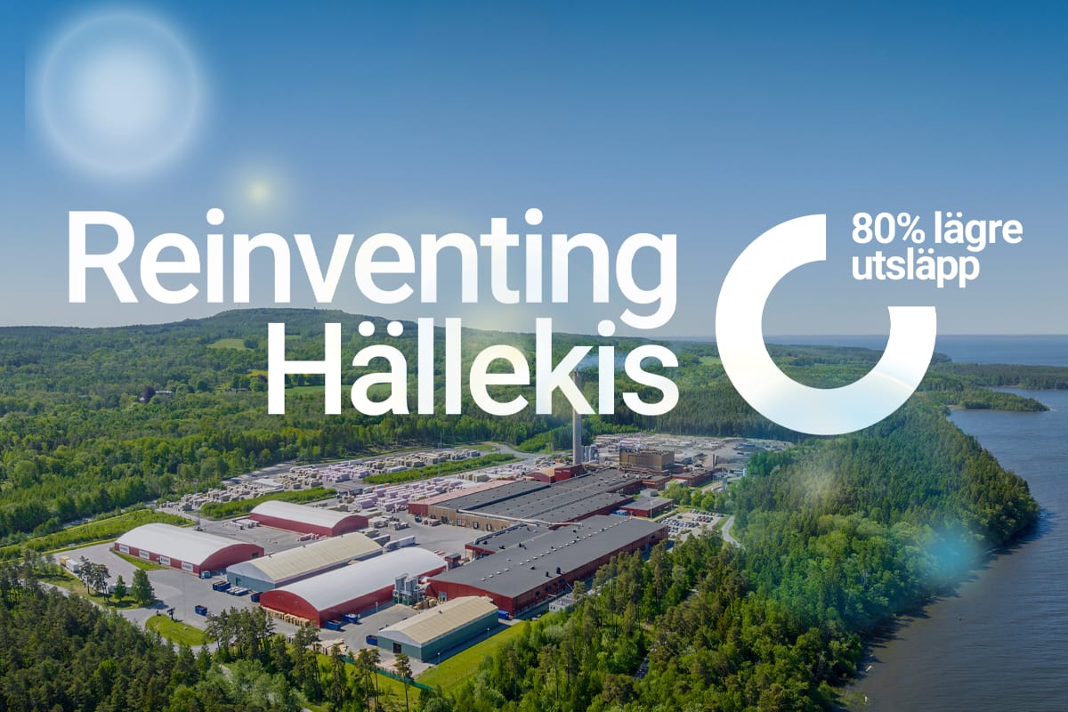 Reinventing Hällekis, bild