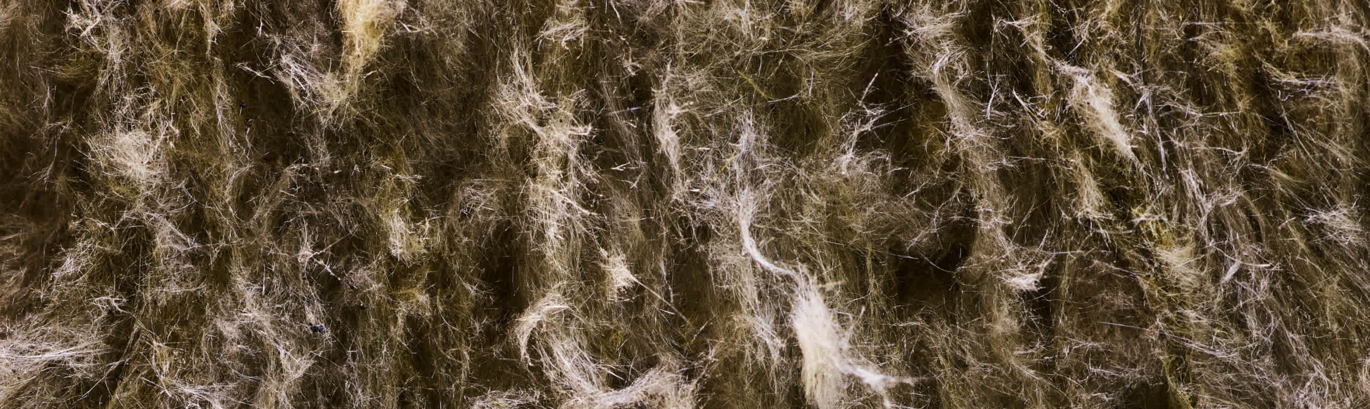 Närbild av PAROC Stenull