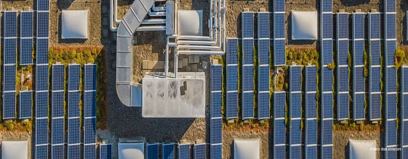 Solardach mit Hand die eine kleine Pflanze trägt