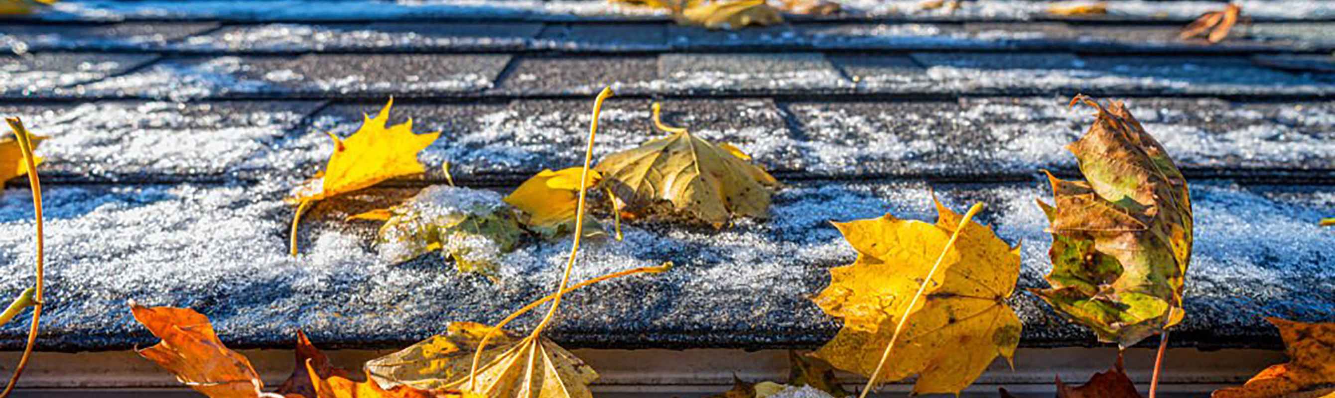 Close up view of shingles with snow and frost coating, and fall leaves.