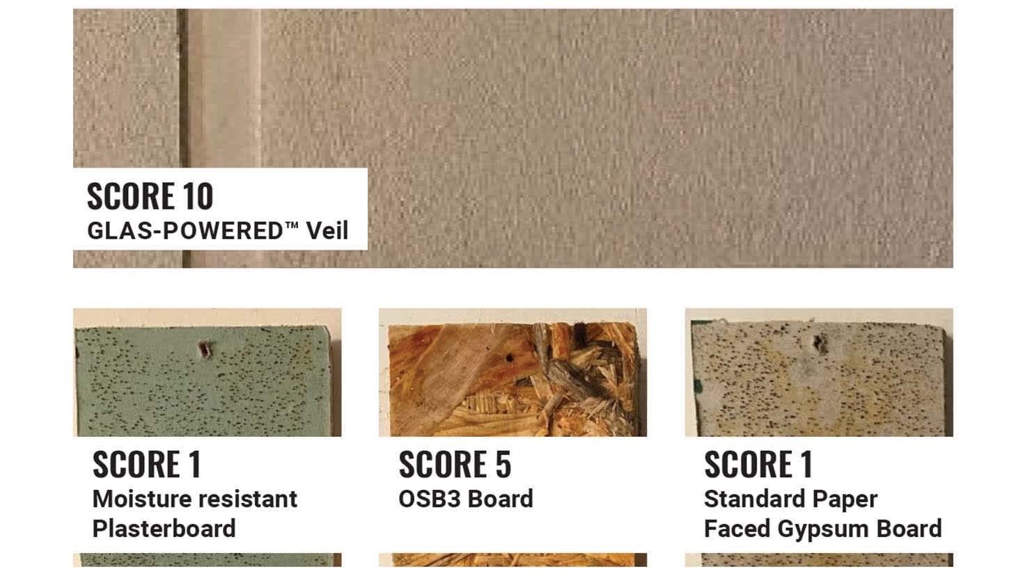 Mold testing samples