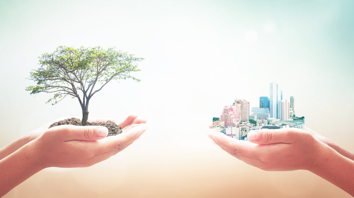 hands holding a tree and a city