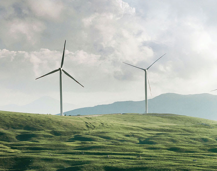 Photo of wind turbines