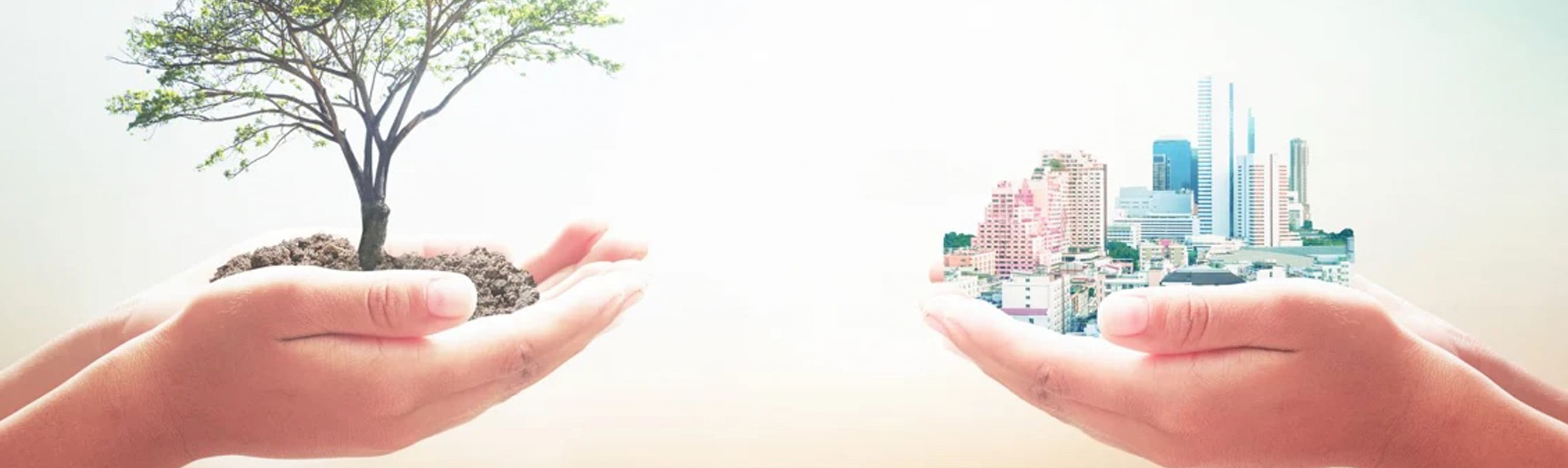 Two sets of hands. One holding a tree and the other holding a cityscape showing the importance of sustainability in urban design.