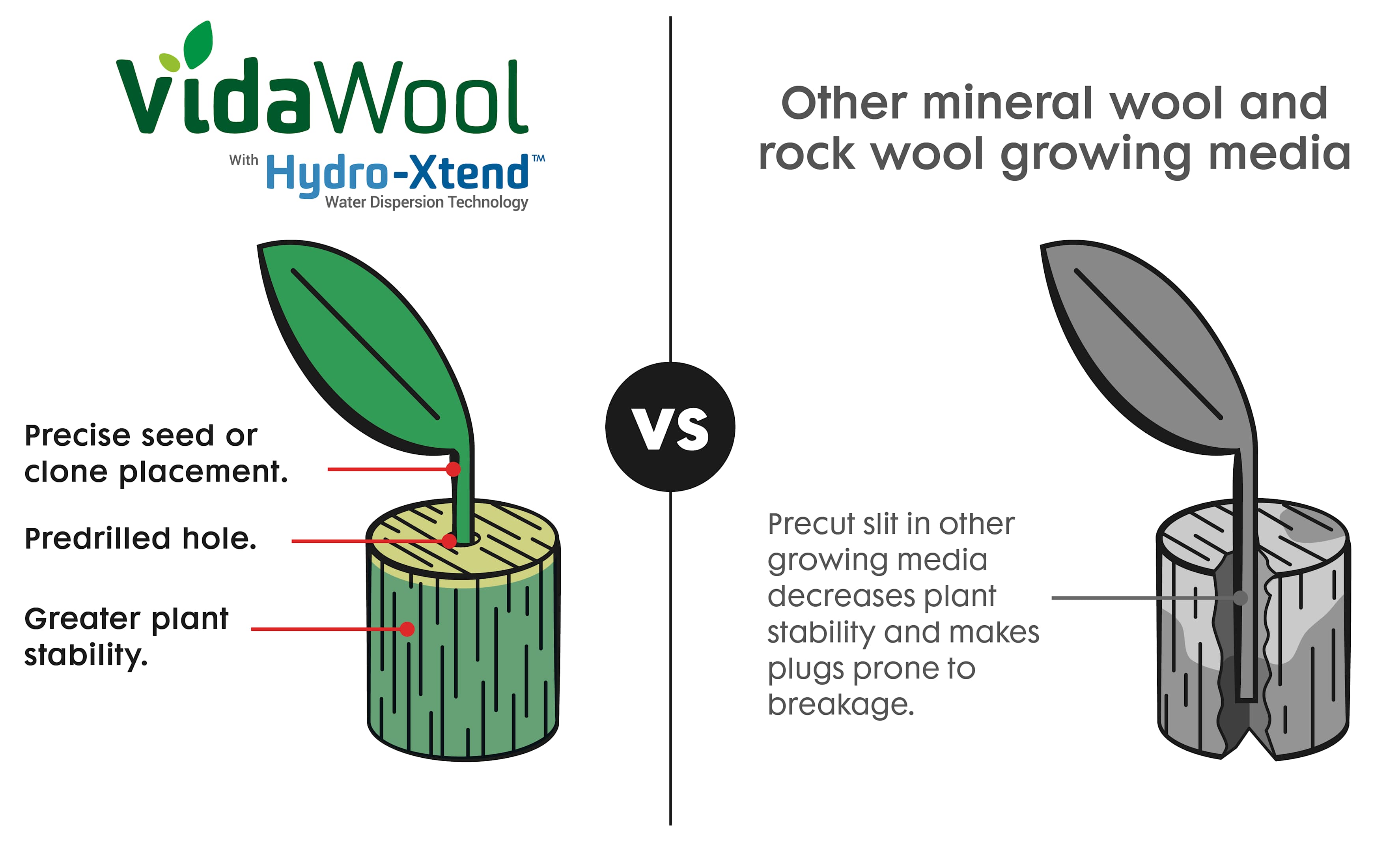 Comparison of VidaWool™ plugs versus other rock wool growing media.