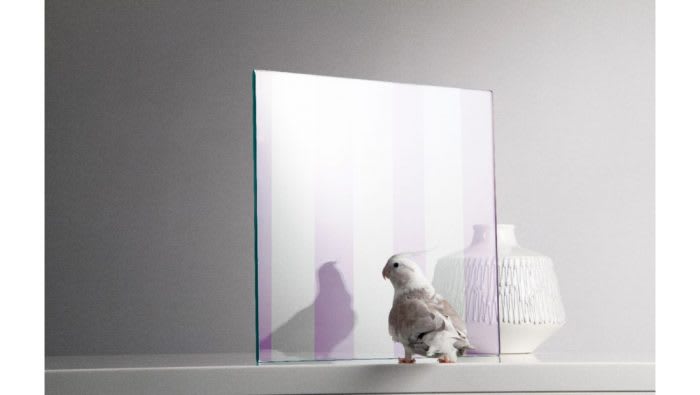 Glass panel, with ultra-violet stripes, a vase, and a bird.
