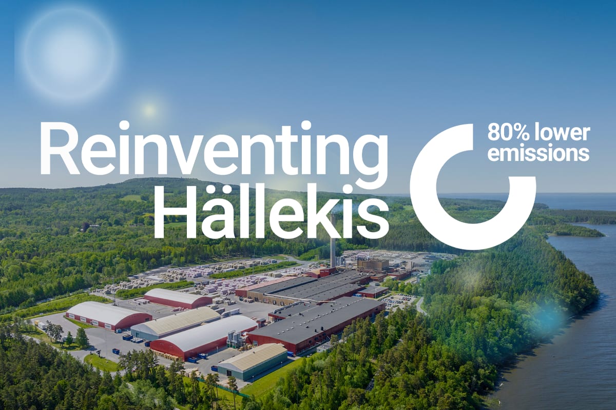 Reinventing Hällekis, image