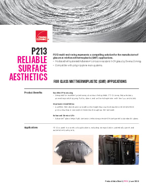 P213 MER for GMT Product Data Sheet