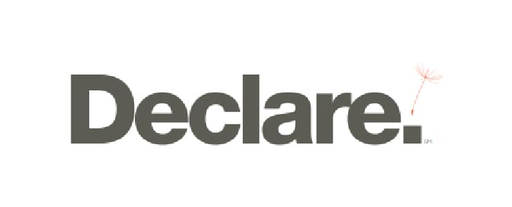 Declare logo.