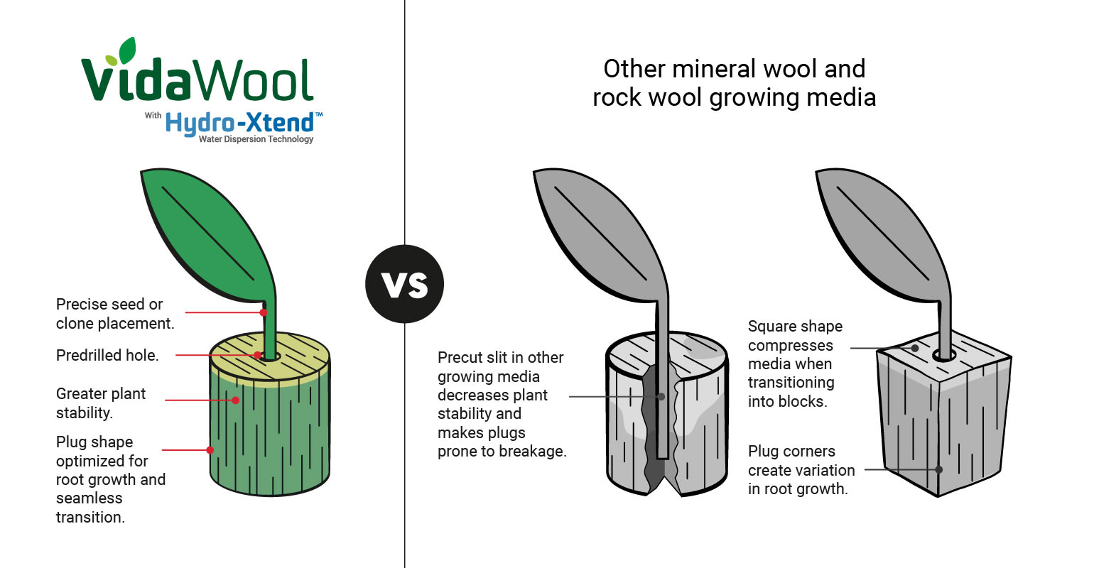 Comparison of VidaWool™ plugs versus other rock wool growing media.