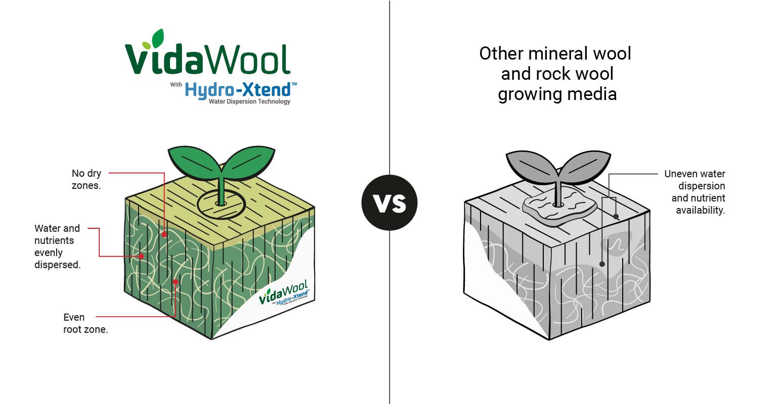 Comparison of VidaWool™ water dispersion and nutrient avilability versus other rock wool growing media.