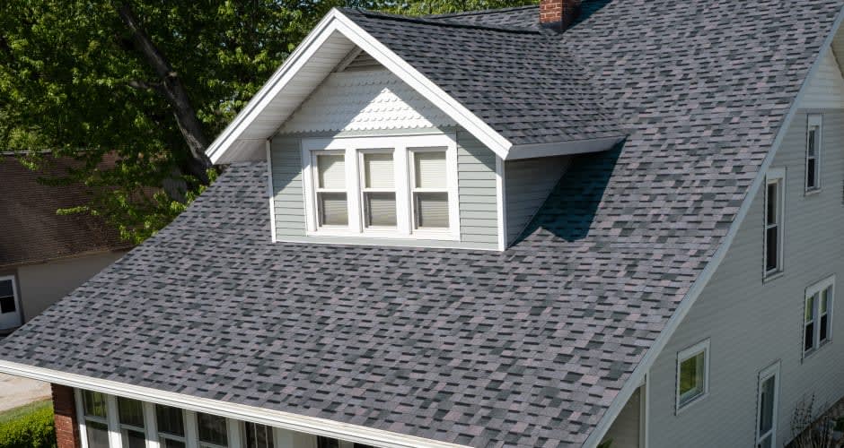 Midnight Plum TruDefinition Duration shingle