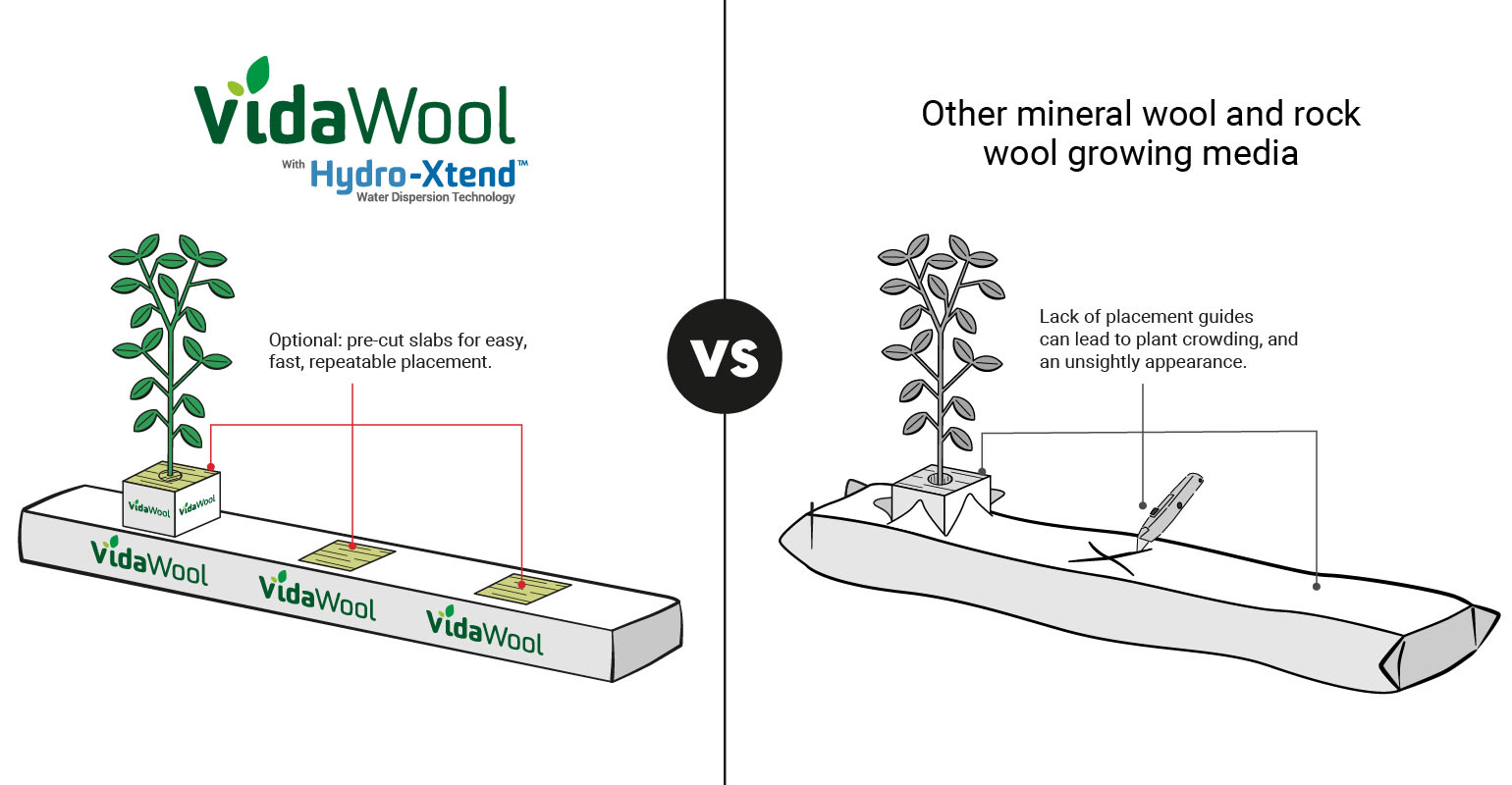 Comparison of VidaWool™ grow block placement versus other rock wool growing media.